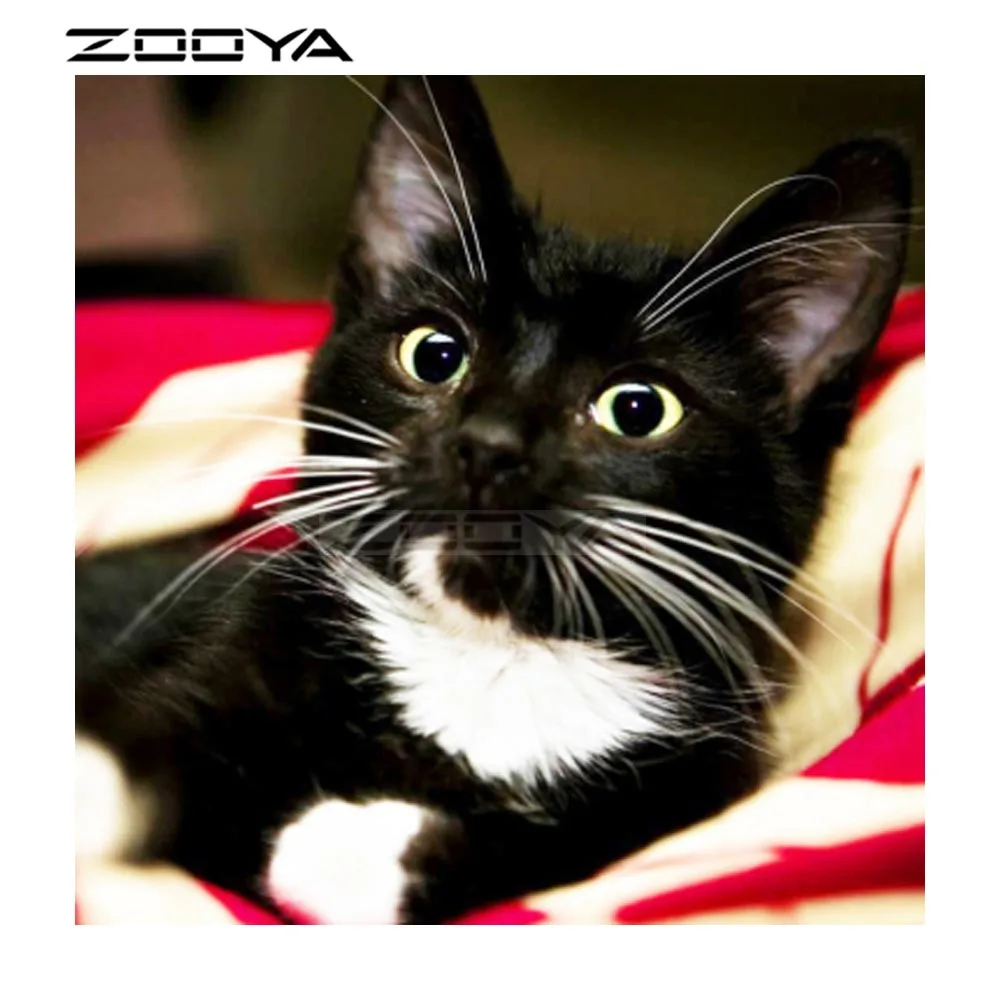 ZOOYA Diamond Embroidery DIY Diamond Painting Animal Black Cat Rhinestones Embroidery Diamond Cross Stitch Mosaic Picture F1119
ZOOYA Diamond Embroidery DIY Diamond Painting Animal Black Cat Rhinestones Embroidery Diamond Cross Stitch Mosaic Picture F1119