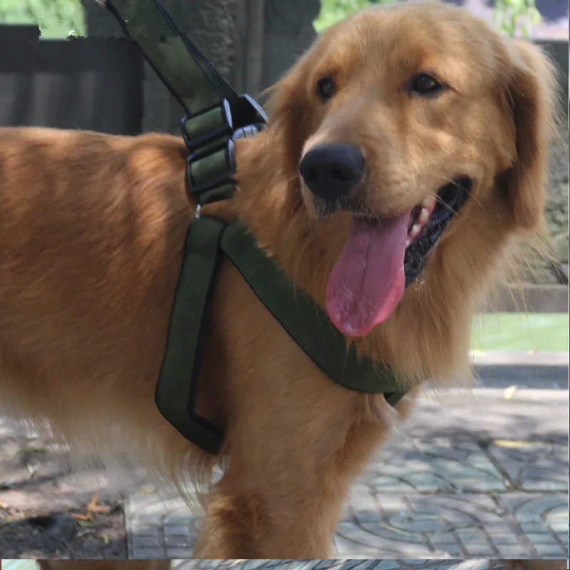 Fashion Nylon Dog Harnesses Comfortable Breathable Firm and Durable Pet Harnesses with Traction Rope for Big Dog Pet Supplies
Fashion Nylon Dog Harnesses Comfortable Breathable Firm and Durable Pet Harnesses with Traction Rope for Big Dog Pet Supplies