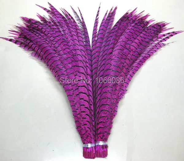 EMS free shipping 80pcs 30-35inch 80-90cm Hot Pink / Fushcia dyed pheasant tail feather,Lady amherst side tails,pheasant feather
EMS free shipping 80pcs 30-35inch 80-90cm Hot Pink / Fushcia dyed pheasant tail feather,Lady amherst side tails,pheasant feather