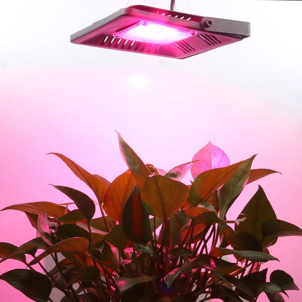 100WLED Plant Grow Light Full Spectrum Outdoor Plant Light AC110/220V waterproof for Greenhouse Hydroponics Vegetable and Flower
100WLED Plant Grow Light Full Spectrum Outdoor Plant Light AC110/220V waterproof for Greenhouse Hydroponics Vegetable and Flower