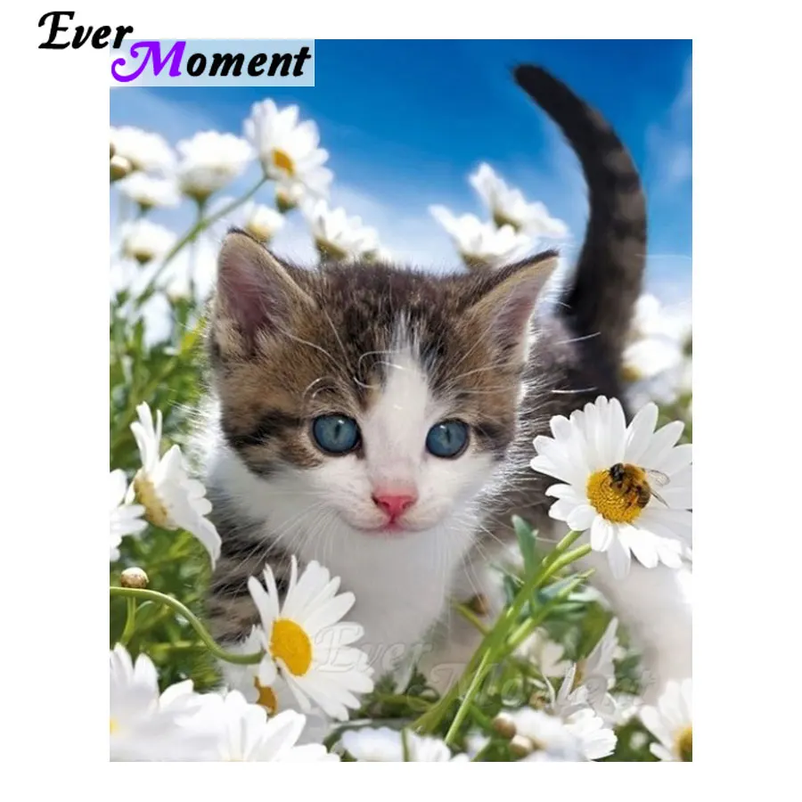Ever Moment Diamond Painting Cat Flower Animal Full Square Drill Resin 5D DIY Diamond Embroidery Cross Stitch Rhinestones S2F679
Ever Moment Diamond Painting Cat Flower Animal Full Square Drill Resin 5D DIY Diamond Embroidery Cross Stitch Rhinestones S2F679