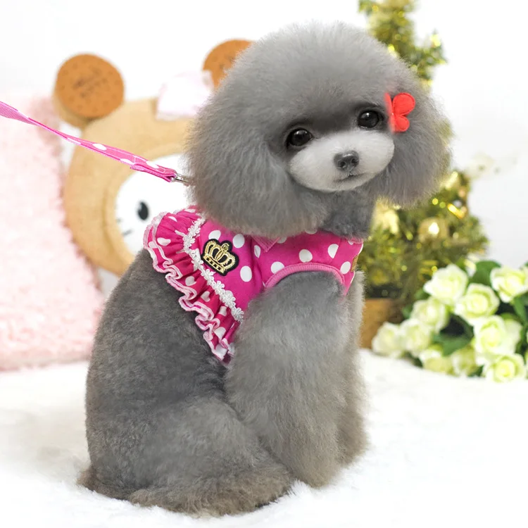 Elegant Lace Dog Harness Vest Soft Breathable Puppy Dog Pet Cat Harness and Leash Set Dot Pattern Pet Harness Pet Dog Supplies
Elegant Lace Dog Harness Vest Soft Breathable Puppy Dog Pet Cat Harness and Leash Set Dot Pattern Pet Harness Pet Dog Supplies