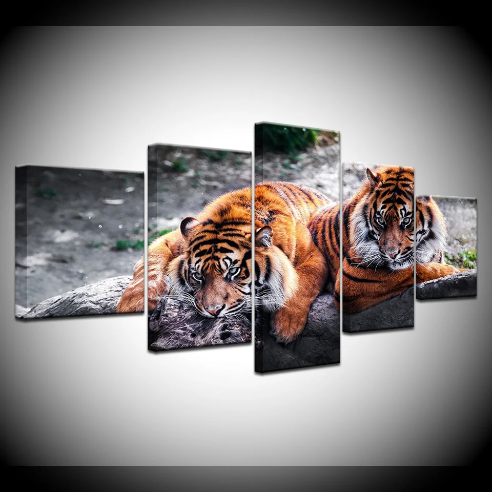 Two tigers lie on the rocks animal 5 Panel HD Print wall posters Canvas Art Painting For home living room decoration
Two tigers lie on the rocks animal 5 Panel HD Print wall posters Canvas Art Painting For home living room decoration