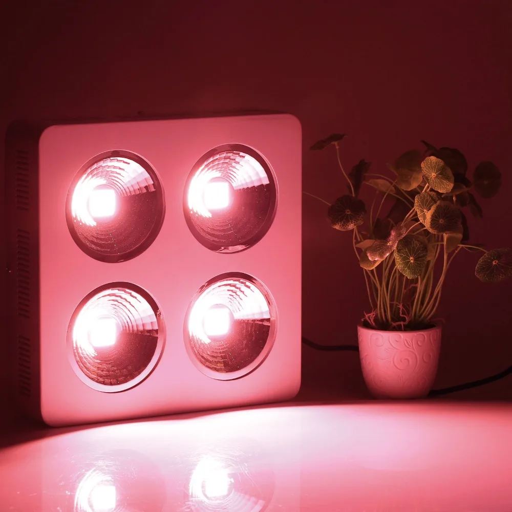 800W COB Led Grow Light Full Spectrum with reflector for Indoor Greenhouse Hydroponic Plants Veg Bloom Flowering Grow Tent
800W COB Led Grow Light Full Spectrum with reflector for Indoor Greenhouse Hydroponic Plants Veg Bloom Flowering Grow Tent