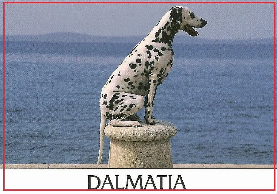 78*54*3mm CROATIA dalmatia Metal Wrapped Souvenir Fridge Magnets 20330 Rigid Plate Tourist Memories
78*54*3mm CROATIA dalmatia Metal Wrapped Souvenir Fridge Magnets 20330 Rigid Plate Tourist Memories