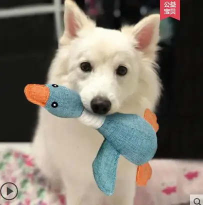 Dog toy small dog golden retriever dog puppies large dog puppy molars bite vocal pet supplies
Dog toy small dog golden retriever dog puppies large dog puppy molars bite vocal pet supplies