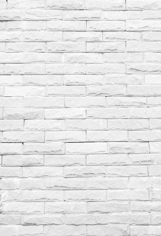 Yeele Bricks Wall Newborn Portrait Pet Doll Props Scene Photography Background Wall Vinyl Photographic Backdrop For Photo Studio
Yeele Bricks Wall Newborn Portrait Pet Doll Props Scene Photography Background Wall Vinyl Photographic Backdrop For Photo Studio