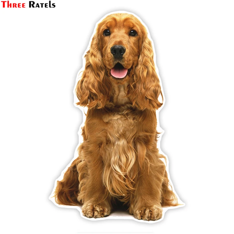 Three Ratels LCS001# 11X17cm Cute Cocker Spaniel Colorful Car Sticker Funny Car Stickers Styling Removable Deca
Three Ratels LCS001# 11X17cm Cute Cocker Spaniel Colorful Car Sticker Funny Car Stickers Styling Removable Deca