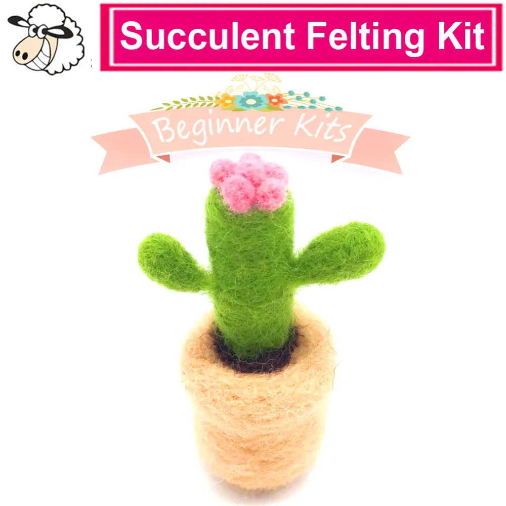 

Feltsky Succulent Needle Felting Kit DIY Wool with 3 Needle Felting Needles Wool for Felting in English Instruction (1)