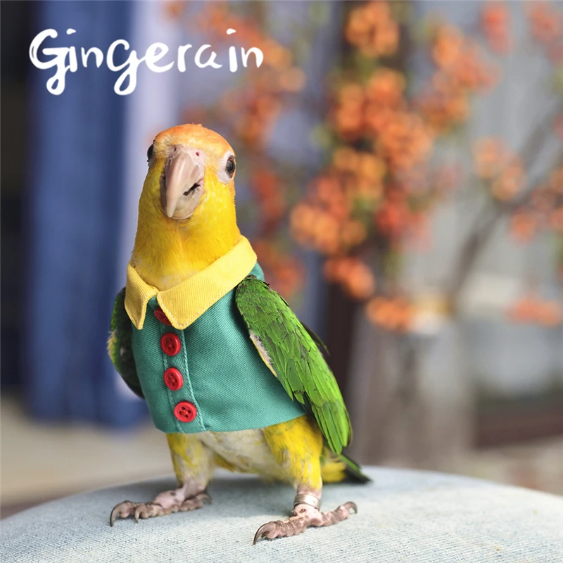 Gingerain Bird clothes Parrot clothes Button shirt original hand-made custom bird clothes Button shirt
Gingerain Bird clothes Parrot clothes Button shirt original hand-made custom bird clothes Button shirt