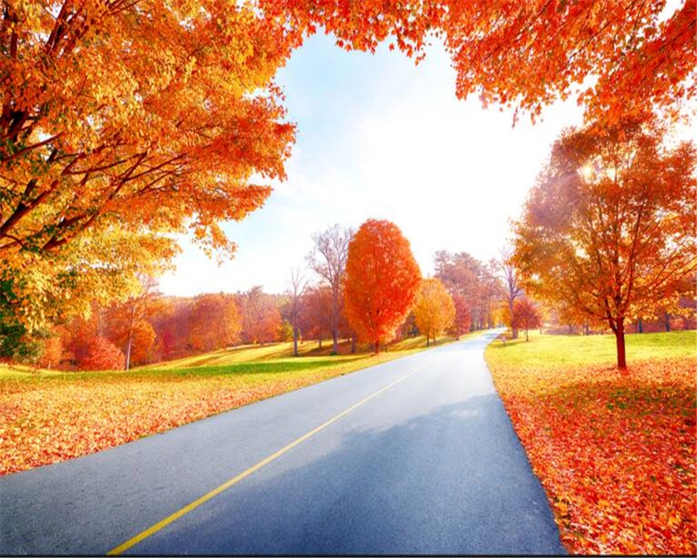 beibehang 3d wallpaper Fantasy Autumn Maple Forest Pastoral Wallpaper Background Wall Painting papel de parede papier peint
beibehang 3d wallpaper Fantasy Autumn Maple Forest Pastoral Wallpaper Background Wall Painting papel de parede papier peint