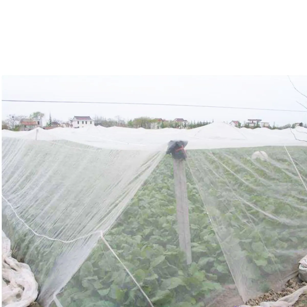 3x3m White Vinyl Fabric Net Wear Resistance Barrier Net for Mosquito Bug Insect Bird Garden
3x3m White Vinyl Fabric Net Wear Resistance Barrier Net for Mosquito Bug Insect Bird Garden
