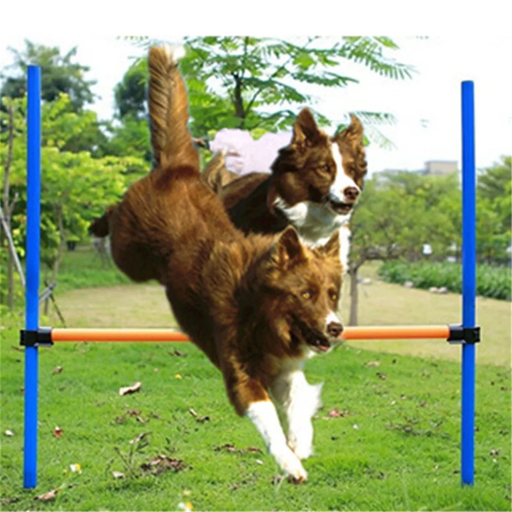 2017Pet Dogs Outdoors Games Exercise Training Equipment Agile Barrier Bar Pet Training Toys Dogs Jump High Toys Sports Equipment
2017Pet Dogs Outdoors Games Exercise Training Equipment Agile Barrier Bar Pet Training Toys Dogs Jump High Toys Sports Equipment