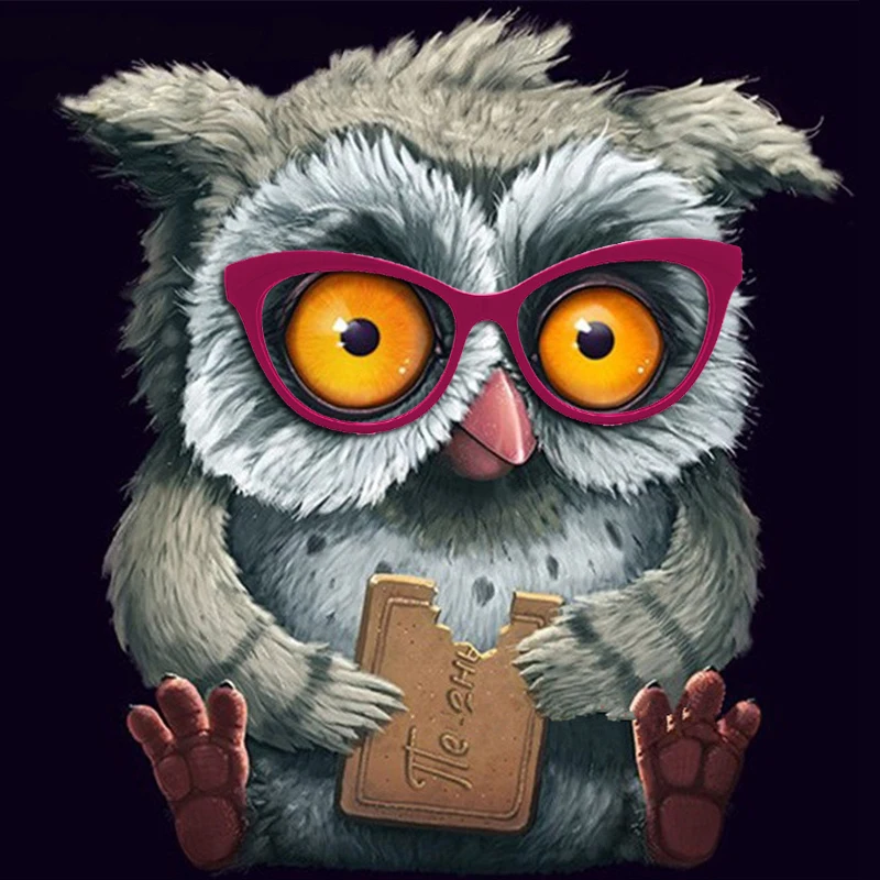 OWL 3D Diamond Painting Cross Stitch DIY Rhinestones Painting Home Decor bread Mosaic Diamond Embroidery
OWL 3D Diamond Painting Cross Stitch DIY Rhinestones Painting Home Decor bread Mosaic Diamond Embroidery