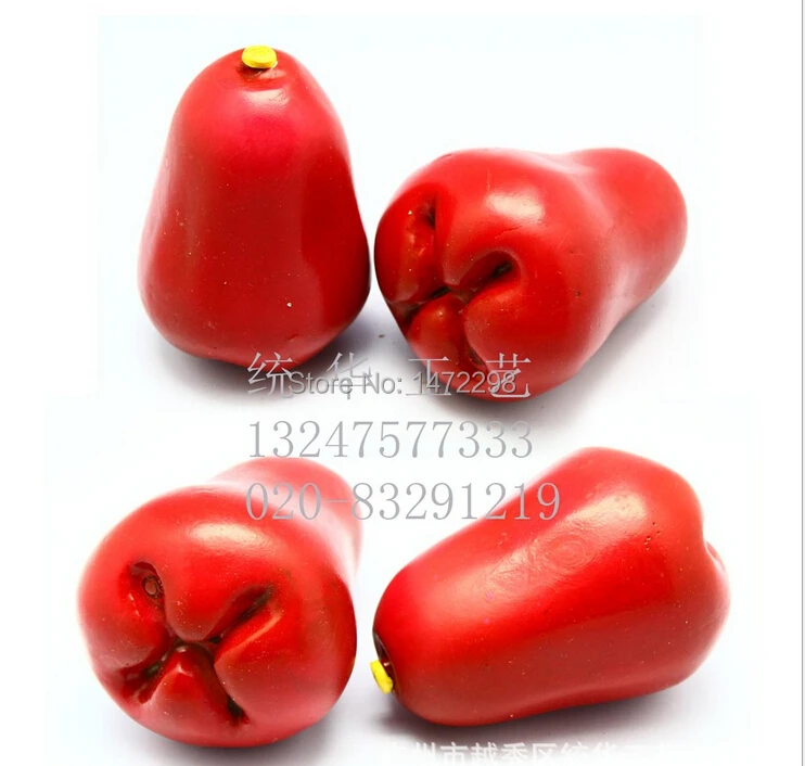 4pcs artificial wax apple faux fruit fake food house decor Sketching tool artificial flower ornament
4pcs artificial wax apple faux fruit fake food house decor Sketching tool artificial flower ornament