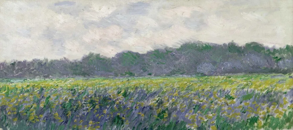 High quality Oil painting Canvas Reproductions Field of Yellow Irises at Giverny (1887) by Claude Monet hand painted
High quality Oil painting Canvas Reproductions Field of Yellow Irises at Giverny (1887) by Claude Monet hand painted