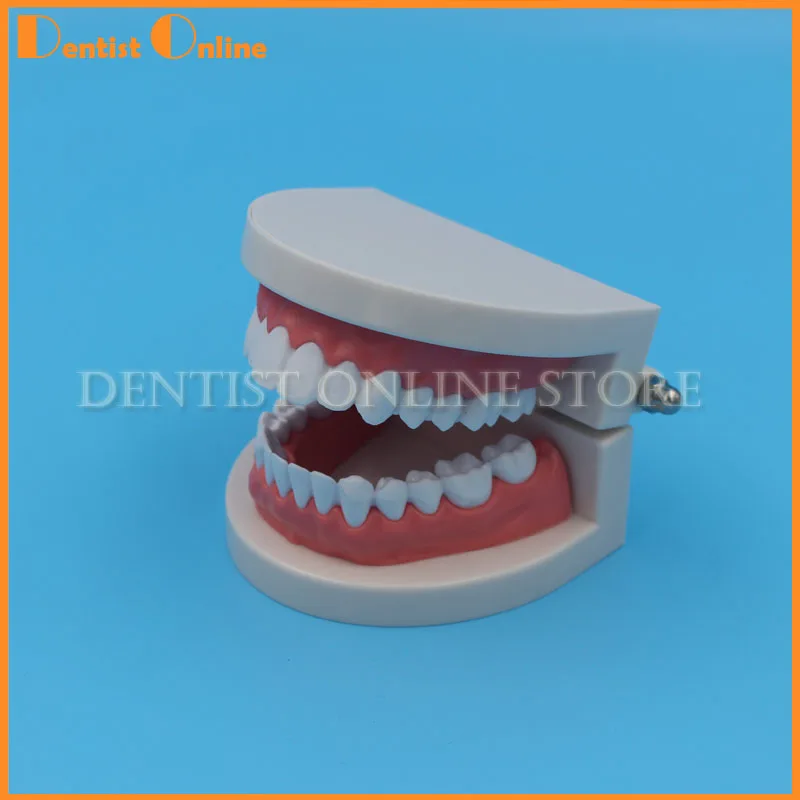 1PC Dentures Dental Teeth Model Clear Gum Standard Typodont Model 28 Pcs Teeth For Medical Science Dentist Teaching Study
1PC Dentures Dental Teeth Model Clear Gum Standard Typodont Model 28 Pcs Teeth For Medical Science Dentist Teaching Study