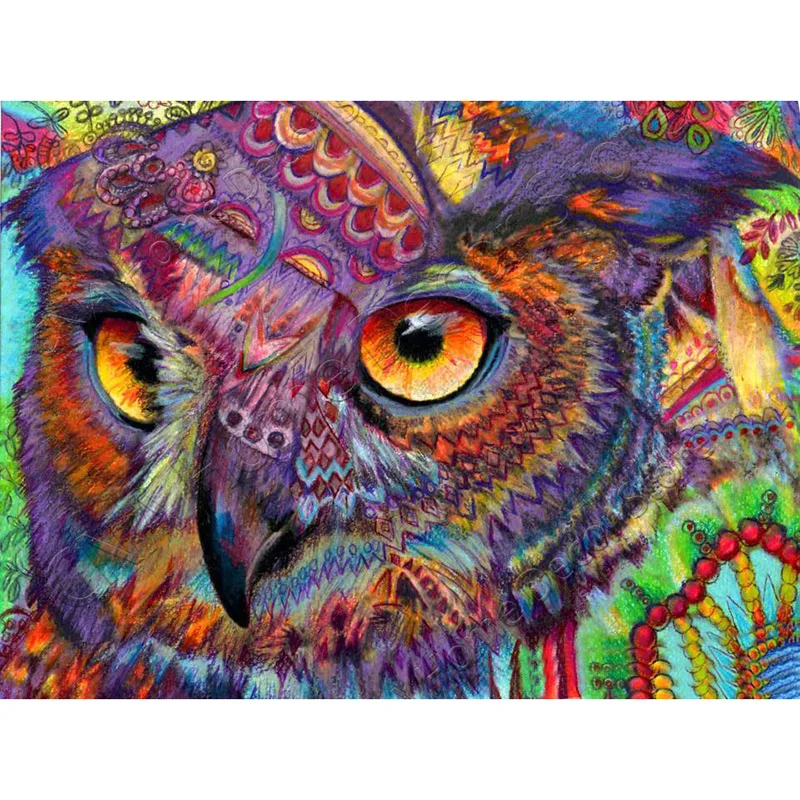RA0827 5D Diy Diamond Painting Colorful Owl Mosaic 3D Cross Stitch kits Animal Drill Home Decor Diamond Embroidery kit stickers
RA0827 5D Diy Diamond Painting Colorful Owl Mosaic 3D Cross Stitch kits Animal Drill Home Decor Diamond Embroidery kit stickers