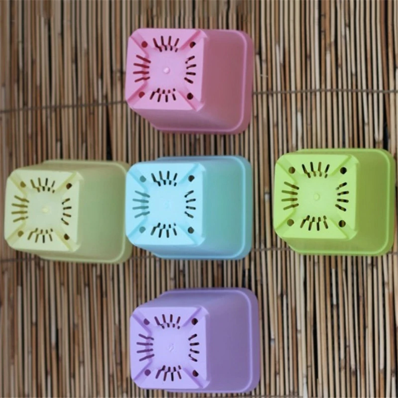 Random Color Flower Pots Pot Trays Plastic Pots with Tray Creative Small Square Pots for Home Wedding Party Decorations
Random Color Flower Pots Pot Trays Plastic Pots with Tray Creative Small Square Pots for Home Wedding Party Decorations