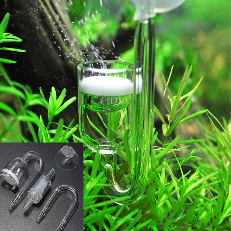 1set Co2 glass refiner four-piece Aquarium live plant atomizer Diffusion valve carbon dioxide reactor regulator U suction cup
1set Co2 glass refiner four-piece Aquarium live plant atomizer Diffusion valve carbon dioxide reactor regulator U suction cup