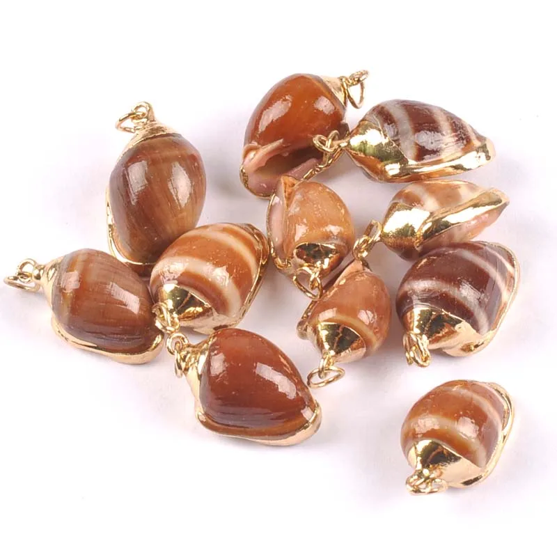 15-20mm Natural Brown Shell Gold Plated for DIY handmade charms pendant SeaShells Home decoration 5pcs TRS0266
15-20mm Natural Brown Shell Gold Plated for DIY handmade charms pendant SeaShells Home decoration 5pcs TRS0266