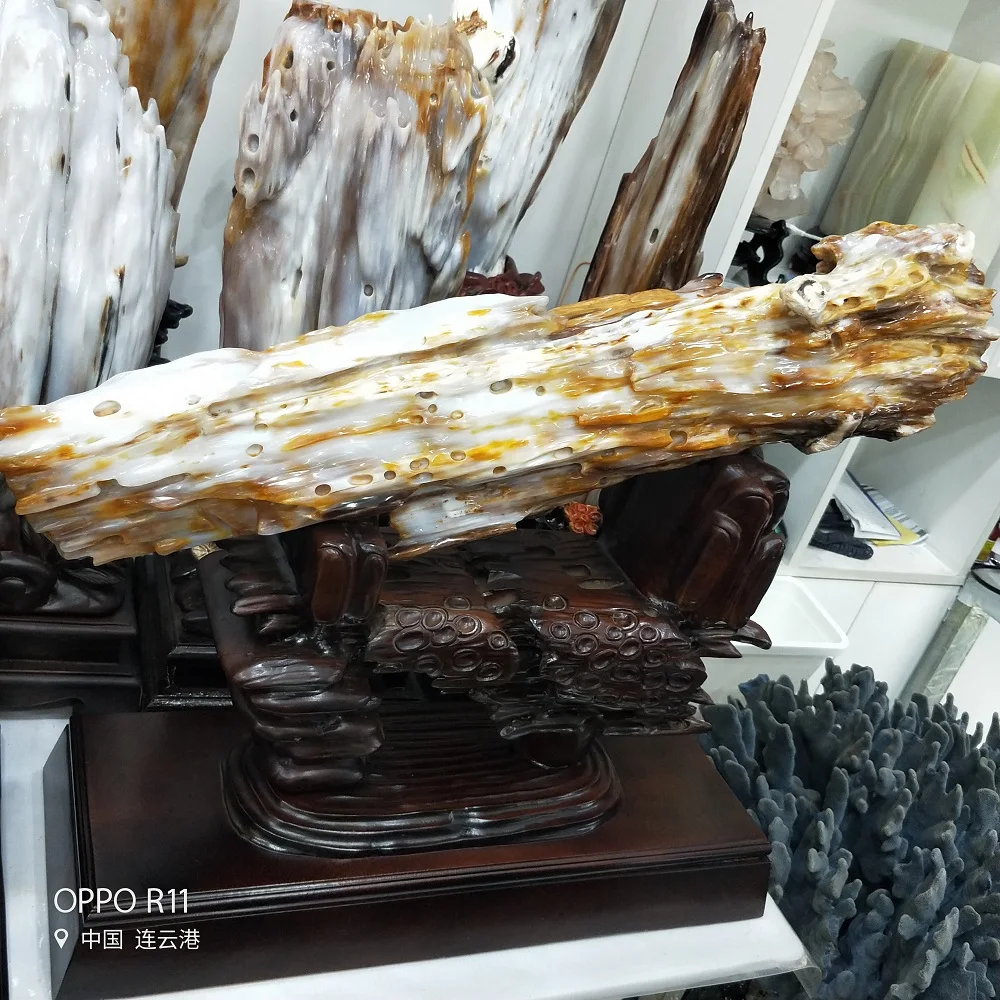 Natural Petrified Wood Super Large Jade Figurine Crystal Fossil Tree Jade Stones Insect Fossils And Mineral & Free Wood Stand
Natural Petrified Wood Super Large Jade Figurine Crystal Fossil Tree Jade Stones Insect Fossils And Mineral & Free Wood Stand