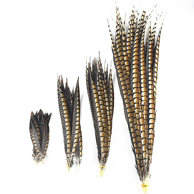 High quality Natural Lady Amherst Pheasant Feathers 10Pcs/Lot10-120CM jewelry Wedding Decorations plumes diy feathers for crafts
High quality Natural Lady Amherst Pheasant Feathers 10Pcs/Lot10-120CM jewelry Wedding Decorations plumes diy feathers for crafts