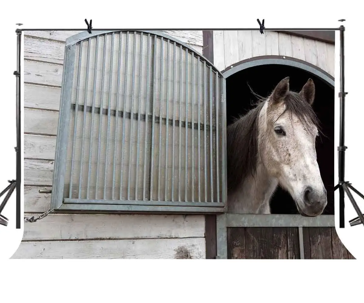 7x5ft Horse Backdrop Stable Animal Breeding Photography Background and Studio Photography Backdrop Props
7x5ft Horse Backdrop Stable Animal Breeding Photography Background and Studio Photography Backdrop Props