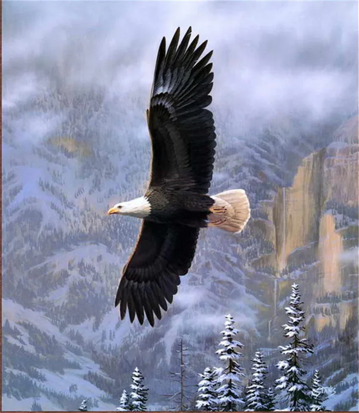 Free Shipping! Animal Eagle Wall Art Snow Mountain Scenery Oil Painting Picture Printed On Canvas Home Decoration
Free Shipping! Animal Eagle Wall Art Snow Mountain Scenery Oil Painting Picture Printed On Canvas Home Decoration