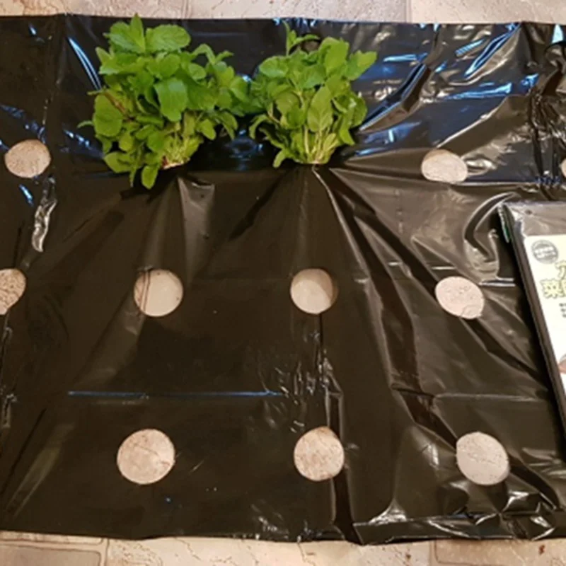 5~50m 5Holes Agricultural Vegetable Plants Cover Black Grow Film Greenhouse Keep Warm Anti Grass Plastic Mulch Film
5~50m 5Holes Agricultural Vegetable Plants Cover Black Grow Film Greenhouse Keep Warm Anti Grass Plastic Mulch Film