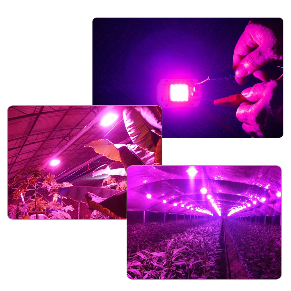 DIY COB LED Grow Light Chip Lamp 220V 110V Real Full Spectrum 380~780nm 20W 30W 50W As Sunlight Fitolampy Indoor Plants Flowers | Освещение