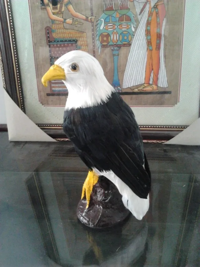 simulation Eagle model,polyethylene&furs 21x12cm eagle,prop.home decoration Xmas gift w4185
simulation Eagle model,polyethylene&furs 21x12cm eagle,prop.home decoration Xmas gift w4185