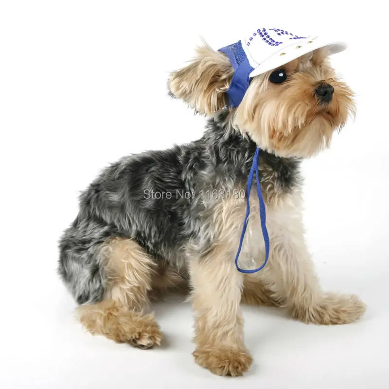 60 pcs/lot Pet Dog Caps Cute Fashion Cat Hats Diamond Caps Sun Hats Baseball Caps Grooming Dogs Suppliers
60 pcs/lot Pet Dog Caps Cute Fashion Cat Hats Diamond Caps Sun Hats Baseball Caps Grooming Dogs Suppliers