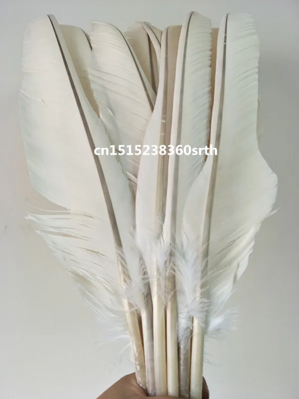 Wholesale 200pcs Quality scare white natural Eagle feathers 50-60cm/20-24inch Decorative stage performance Jewelry accessories
Wholesale 200pcs Quality scare white natural Eagle feathers 50-60cm/20-24inch Decorative stage performance Jewelry accessories