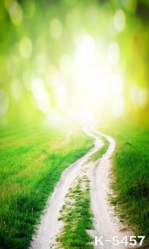 White Lighting Backgrounds For Photos Studios Children/Wedding Photo Shooting Green Scenic Path Photography Backdrops 5X7ft 
White Lighting Backgrounds For Photos Studios Children/Wedding Photo Shooting Green Scenic Path Photography Backdrops 5X7ft