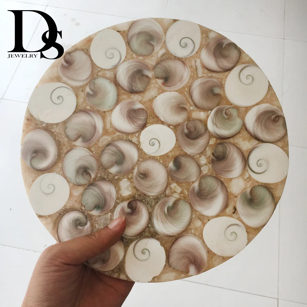24cm Natural Shell Fossil Ammonite Slice Plate Crystal Ocean Conch Madagascar Mineral Specimen Display Wedding Party Decoration
24cm Natural Shell Fossil Ammonite Slice Plate Crystal Ocean Conch Madagascar Mineral Specimen Display Wedding Party Decoration