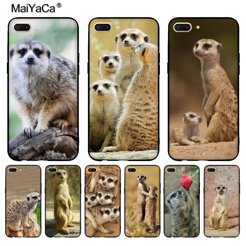 MaiYaCa animal mob of meerkats Diy защитный чехол для сотового телефона OPPO R9 R9S R11 PLUS casefor vivo X9 X20|oppo