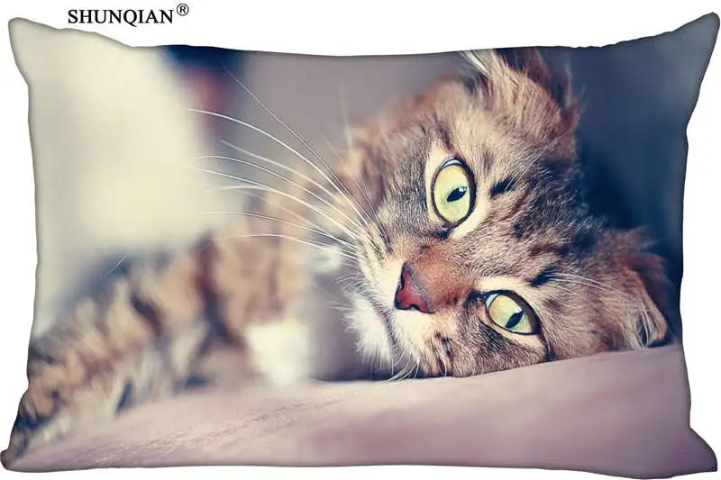 cat Rectangle Pillow Cover Size 45x35cm (one side) Print Custom Zipper Polyester Cotton Pillowcase
cat Rectangle Pillow Cover Size 45x35cm (one side) Print Custom Zipper Polyester Cotton Pillowcase