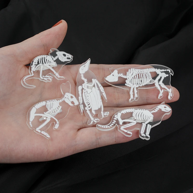 Halloween Carnival ! Skull Skeleton Animal Cat Rabbit Penguin Pig Mouse Rib Transparent Acrylic Brooches Pins For special You
Halloween Carnival ! Skull Skeleton Animal Cat Rabbit Penguin Pig Mouse Rib Transparent Acrylic Brooches Pins For special You