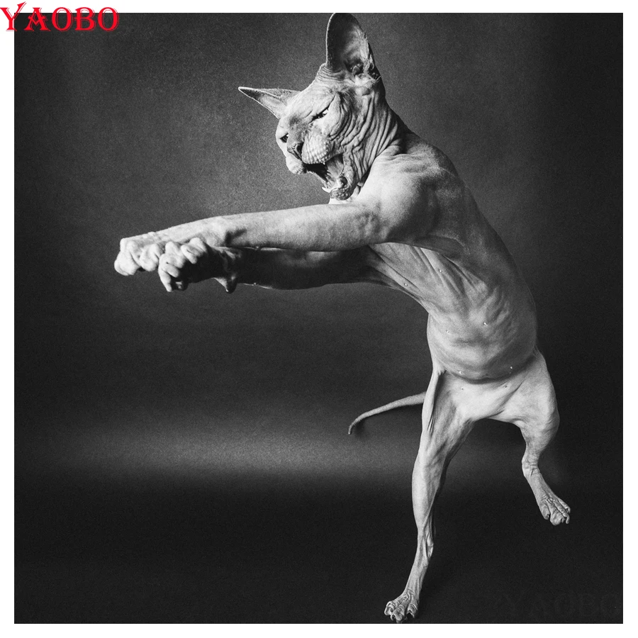 Алмазная мозаика «сделай сам» 5D pet cat, 3d картина с животными, Sphynx, вышивка крестиком, квадратные, круглые, алмазные Стразы
Алмазная мозаика «сделай сам» 5D pet cat, 3d картина с животными, Sphynx, вышивка крестиком, квадратные, круглые, алмазные Стразы