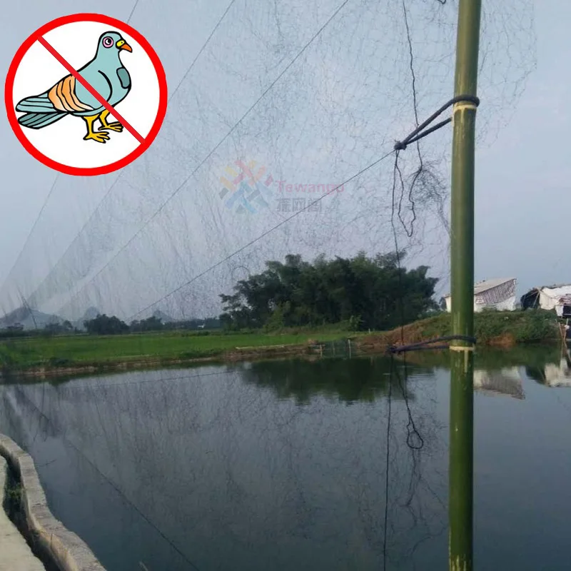 Tewango Black Anti Bird Net Mesh For Fruit Crop Plant Tree Bird-Preventing Netting 2.5x2.5 Mesh Grid Farm Protect Network
Tewango Black Anti Bird Net Mesh For Fruit Crop Plant Tree Bird-Preventing Netting 2.5x2.5 Mesh Grid Farm Protect Network