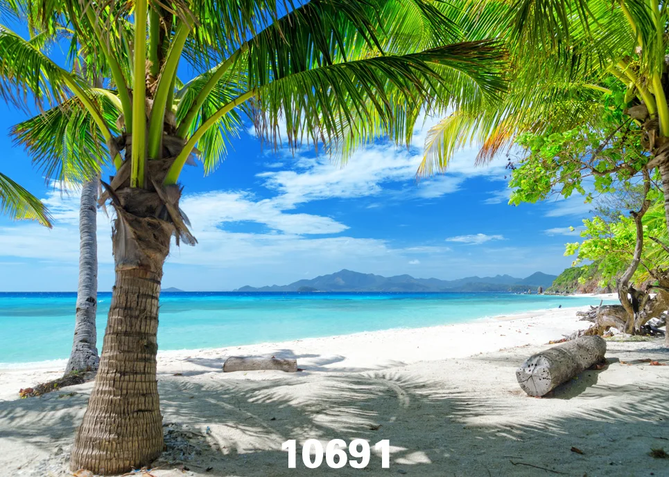 Photographic Backgrounds Baby Ocean Sand Beach Palm Tree Printed Photo Backdrops Vinyl Cloth For Photo Studio Fundo Fotografia
Photographic Backgrounds Baby Ocean Sand Beach Palm Tree Printed Photo Backdrops Vinyl Cloth For Photo Studio Fundo Fotografia
