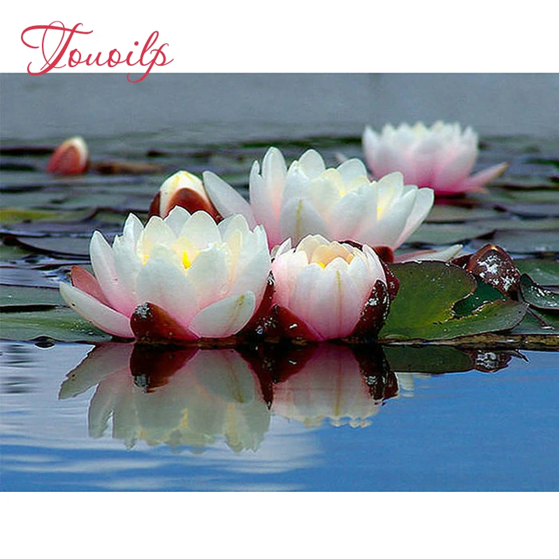 Full square diamond painting cross stitch Lotus diy 5d diamond embroidery flowers picture Crafts needlework rhinestone mosaic
Full square diamond painting cross stitch Lotus diy 5d diamond embroidery flowers picture Crafts needlework rhinestone mosaic
