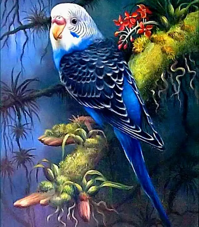Diamond embroidered flowers with two parrots, cross stitch, DIY 5D full diamond paintings, home decorations D0964
Diamond embroidered flowers with two parrots, cross stitch, DIY 5D full diamond paintings, home decorations D0964
