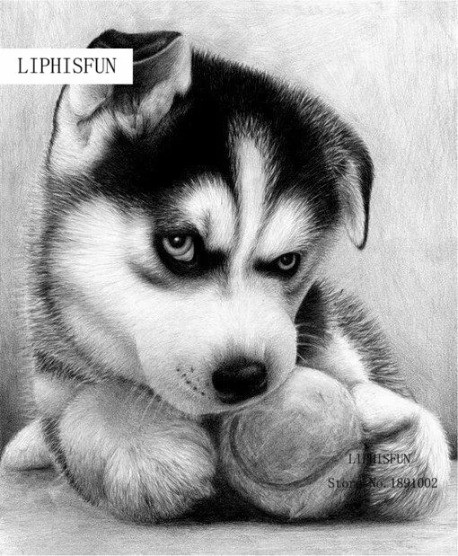Diy Full Square Dill Diamond Painting Huskies Cross Stitch Household Decoration Dog Diamond Mosaic Embroidery Paintings
Diy Full Square Dill Diamond Painting Huskies Cross Stitch Household Decoration Dog Diamond Mosaic Embroidery Paintings