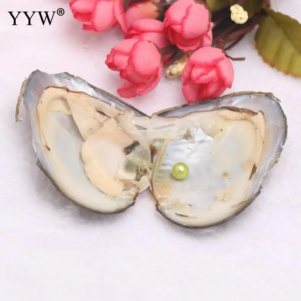 10PC/Lot 6-7mm Vacuum pack Oyster pearl Dyed Beads pearl oysters single bowling individually packaged Birthday Wedding Girl Gift
10PC/Lot 6-7mm Vacuum pack Oyster pearl Dyed Beads pearl oysters single bowling individually packaged Birthday Wedding Girl Gift