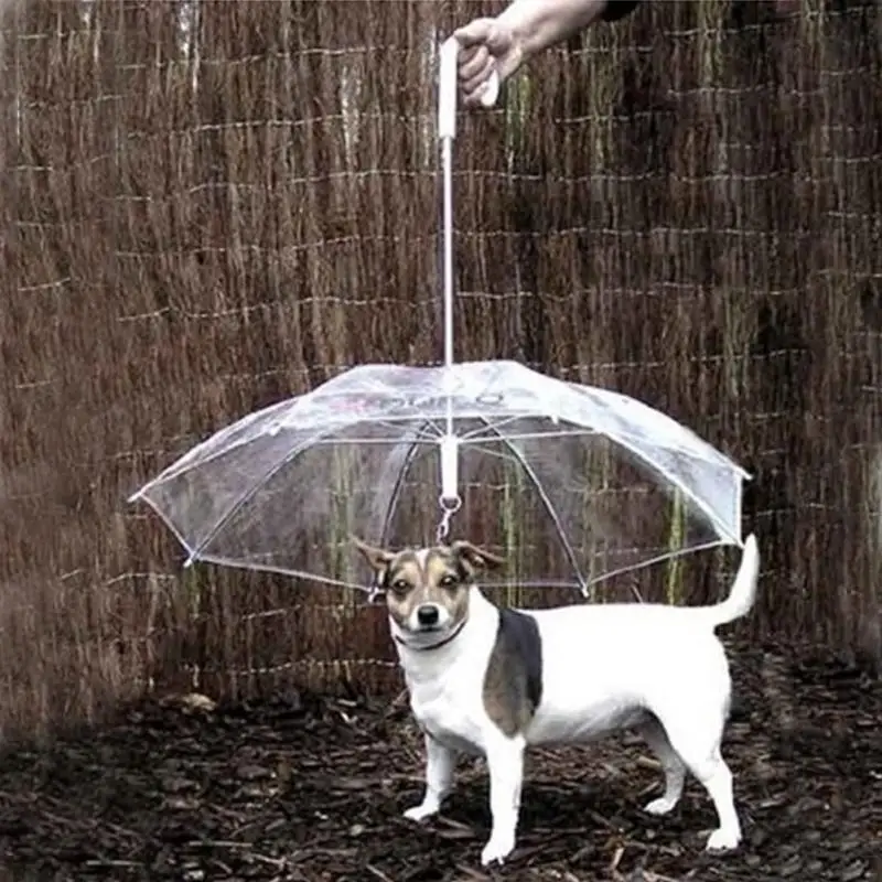 Useful Transparent PE Pet Umbrella Small Dog Umbrella Rain Gear with Dog Leads Keeps Pet Dry Comfortable in Rain Snowing
Useful Transparent PE Pet Umbrella Small Dog Umbrella Rain Gear with Dog Leads Keeps Pet Dry Comfortable in Rain Snowing