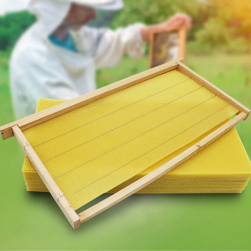 Honeycomb base deep room natural beeswax beehive beekeeping tools bee nest spleen nest 30 pieces nest
Honeycomb base deep room natural beeswax beehive beekeeping tools bee nest spleen nest 30 pieces nest