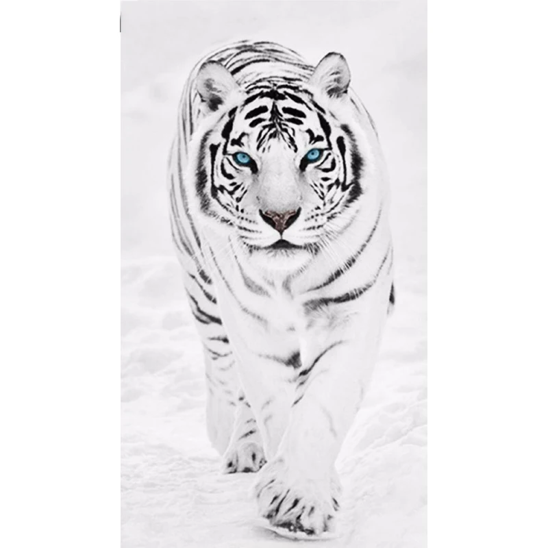 Full SquareRound Drill 5D DIY Diamond Painting White tiger in snow 3D Embroidery Cross Stitch Mosaic Home Decor ZH
Full SquareRound Drill 5D DIY Diamond Painting White tiger in snow 3D Embroidery Cross Stitch Mosaic Home Decor ZH