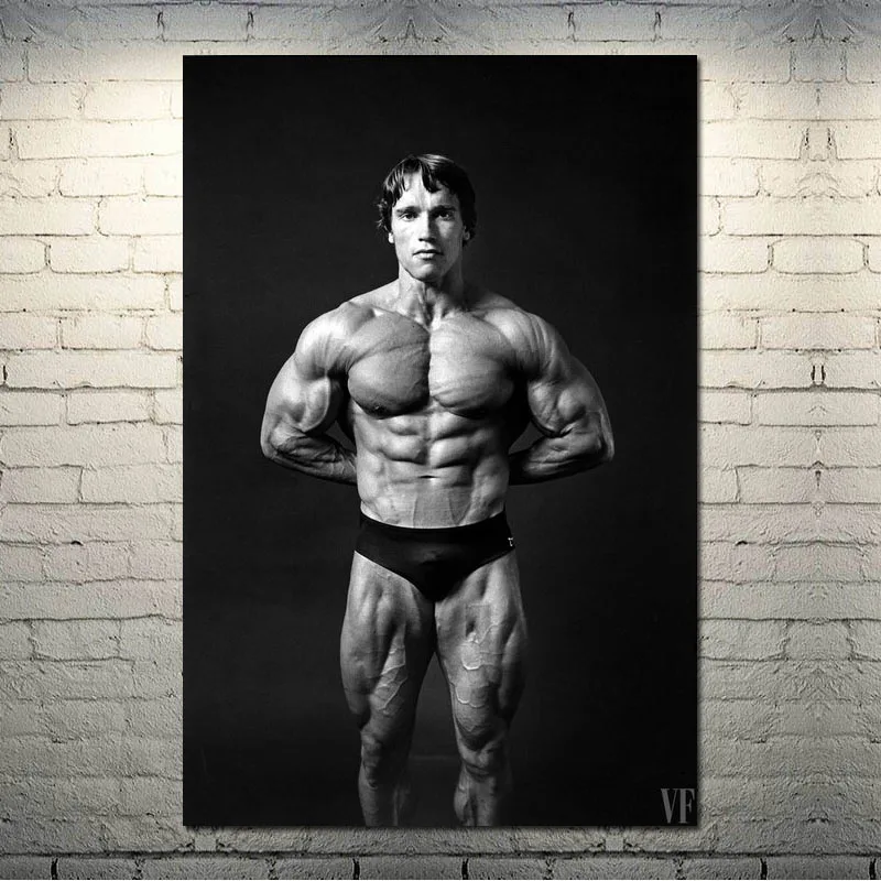 Arnold Schwarzenegger Bodybuilding Motivational Art Silk Canvas Poster 13x20 24x36 Inch Wall Pictures-001 
Arnold Schwarzenegger Bodybuilding Motivational Art Silk Canvas Poster 13x20 24x36 Inch Wall Pictures-001
